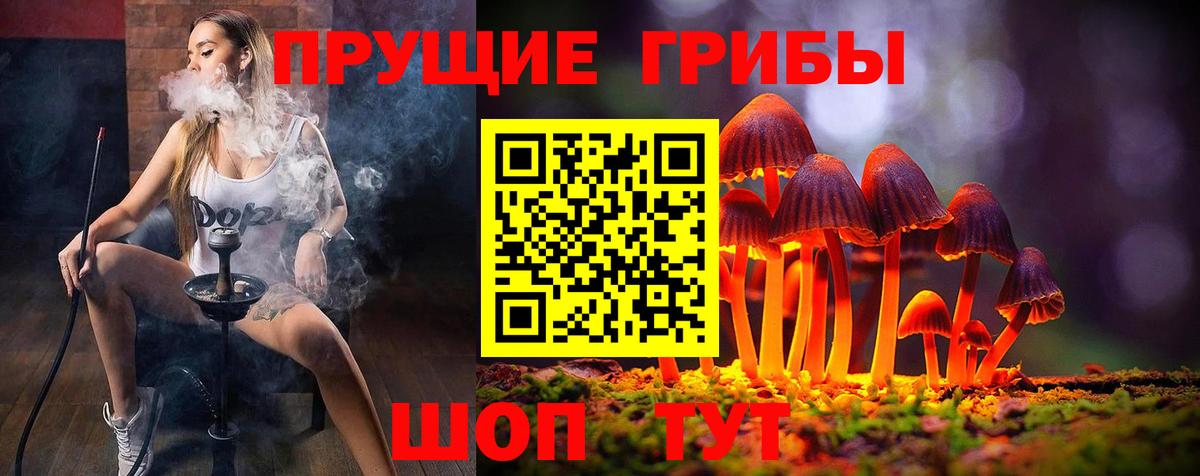 Каменка  Псилоцибиновые грибы Cubensis  Вход с VPN 